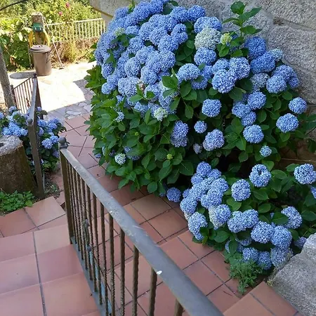 Casa Anita - Ribeira Sacra Holiday home *